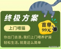 假期出行选择上门喂猫｜悦管家解决猫猫留守难题