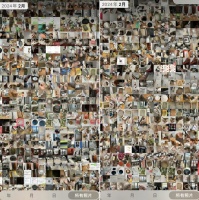 春节见闻｜上门喂猫收入1.5万，宠物寄养“一窝难求”