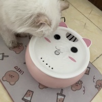 喂食器、摄像头、宠物险……智能宠物用品成为“它经济”新赛道