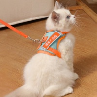 獒少保 猫咪牵引绳猫绳宠物防挣脱可调松紧背心式专用溜遛猫绳子外出用品 喵星人款 M码 建议5