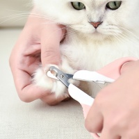 派可为 简派小猫指甲剪 弯头