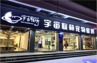 深圳宠物美容猫咪赛级洗护培训课程