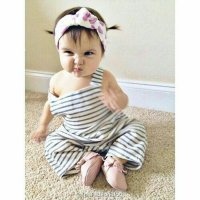 宠物猫毛发的五步美容方法