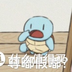 养猫人必看的文章：别再分不清妙三多和猫三联的区别啦！