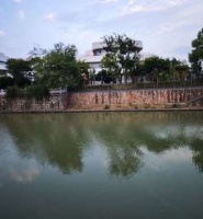 万达左邻右猫，猫咖宠物抓伤人，出示不了宠物疫苗接种信息令人担忧