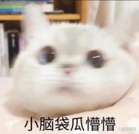 猫咪疫苗怎么打、打几针？一次给你讲清