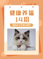 重庆江北宠物美容培训老师工作中总结的14个猫咪健康知识