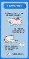 一张图解锁9个让猫咪健康长寿的习惯