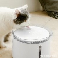 家里养宠物猫的，不妨学猫舍老板这样做，猫咪健康有活力