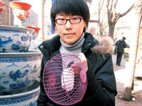 鼠年来了 “精灵鼠小弟”走俏