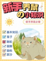 新手养鼠指南