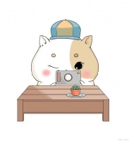 困扰仓鼠的常见疾病有哪些？