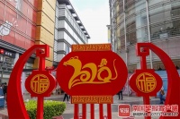 假老鼠热销、真老鼠受宠，南宁“萌鼠”商品提前闹春