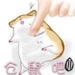 【图片】【文字】澳洲男子将4只大白鼠训练成冲浪高手。标题要长长长