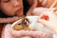 仓鼠能不能用温水洗澡