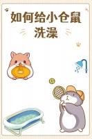 如何给小仓鼠洗澡