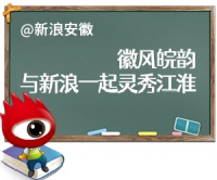 爱养宠物不洗手 合肥一市民眼内取出1厘米长吮吸线虫