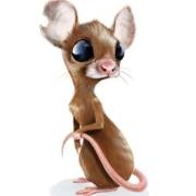 006 老鼠（宠物就这么没了）声音免费在线播放