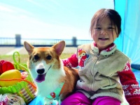 合肥宠物消费市场持续火热 年轻人成消费主力