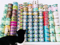 养宠物这件事宠物最不值钱？被宠物主人供上市的企业年入过亿 — 新京报