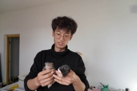 横山95后小伙杨旭：萌宠养殖开启创业新途径