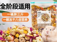 打造仓鼠梦幻家园，这些神器你不能错过！仓鼠用品大揭秘