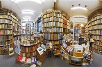 仓鼠生宝宝后该怎么处理 仓鼠生宝宝后怎么照顾