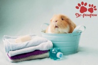 清洗仓鼠笼子的注意事项