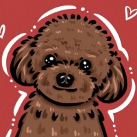 低成本养仓鼠抠搜指南｜平替好物