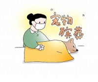 北青快评 | “宠物殡葬”需要在规范中健康发展