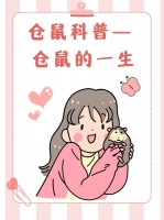 仓鼠科普—仓鼠的一生