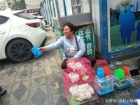 10元买了一只“宠物老鼠”，农村婆婆：吃饱了撑的