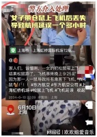 闹大了！一女子带仓鼠上飞机后仓鼠逃跑，网友质疑安检不到位