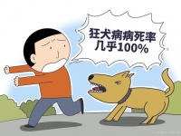 被家养宠物抓伤是否会得狂犬病