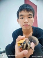 小蜜袋鼯抓了一下出了点血要打疫苗吗？多长时间打