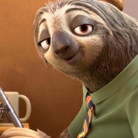 如何训练一只听话亲人的鼠鼠‼️保姆教程收藏