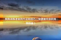 狗狗训练老鼠的方法和技巧（快速提升你的宠物技能）