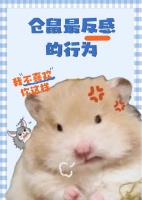 仓鼠最反感的行为