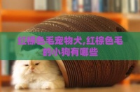 老司机网,老司机们俗称的车牌号是什么,老司机才能看懂的内涵图,老司机ea永久防和谐入口,老牛影视文化传媒有限公司网站精彩情节故事简介,老牛影视文化传媒有限公司官方,老牛影视传媒有限公司应用亮点,老狼影视文化传媒有限公司,老夫子星空文化传媒有限公司最建议去的三个地方,老夫子星空文化传媒有限公司网站,老夫子星空文化传媒有限公司,蓝莓视频app下载安装免费无限看