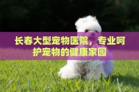 长春大型宠物医院，专业呵护宠物的健康家园