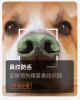 宠物管理数字化：带10084万毛孩子办“身份证”