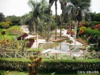 养宠物能把它们养活就好了？不，铲屎官应当了解丰容的概念