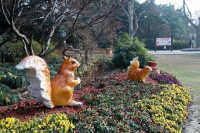 上海动物园鼠年生肖活动　袋鼠豪猪也来蹭热度抢C位