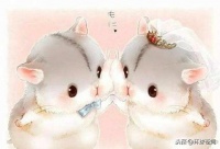 仓鼠，迷你却强势的动物！人类，对仓鼠认知的误区与真相知多少？