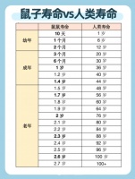 仓鼠的寿命一般是多长时间？