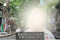 保洁大爷帮商户抓老鼠被咬！3000医疗费，商户只给800，内情曝光
