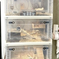 宠物鼠笼子透明