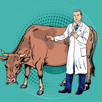 健康猫咪养成攻略：宠物医生教你科学养猫