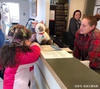 国外这家宠物医院最近接待了一位特殊病患，是一只玩具猫