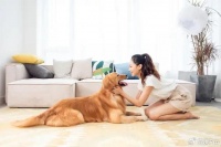 殡葬、AI复活、克隆再生……宠物赛道还有哪些新故事可讲？